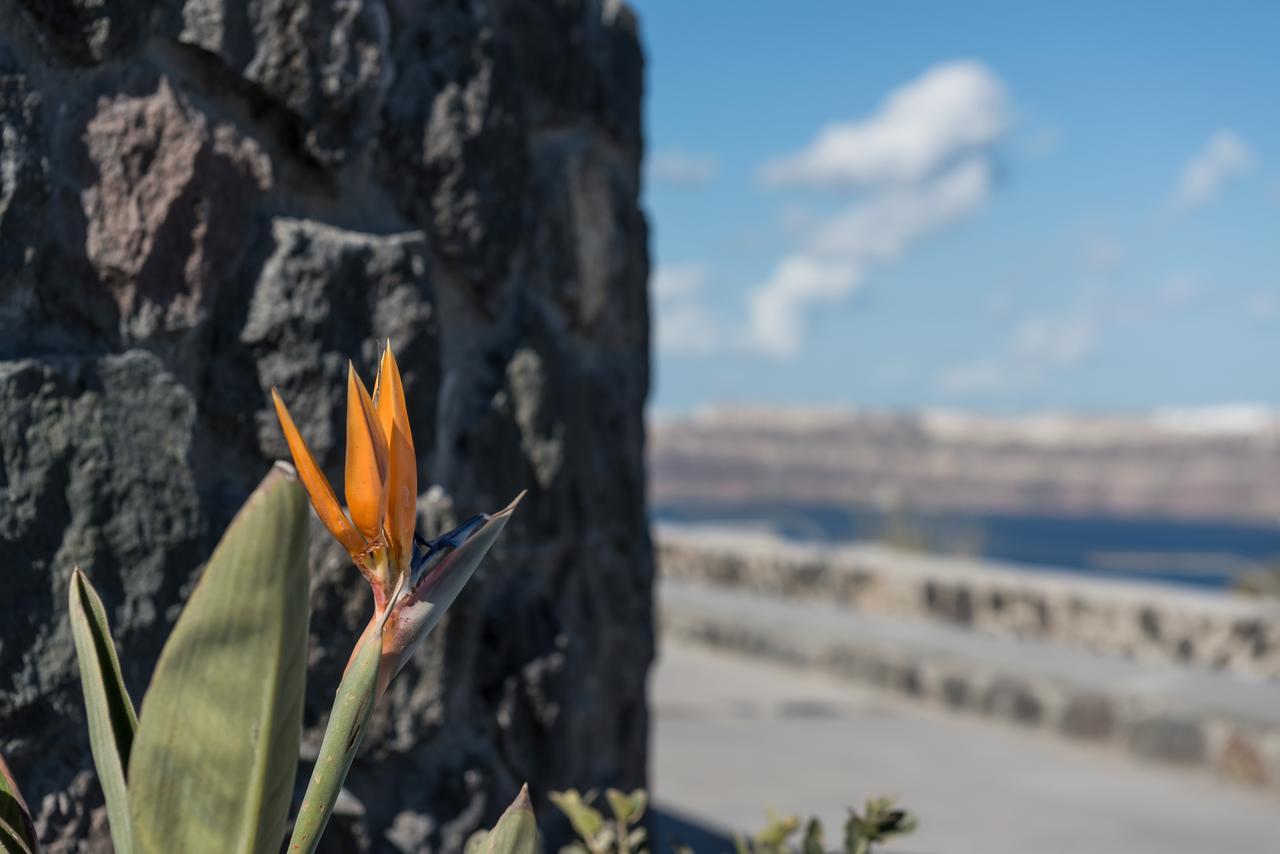 Elements Of Caldera Akrotiri (Santorini)